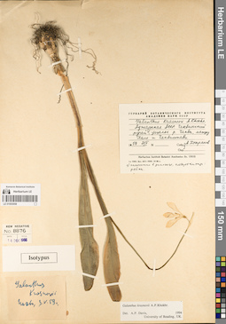 LE 01053058