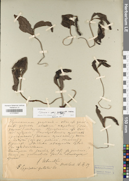 LE 01026401