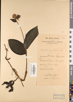 LE 01026402