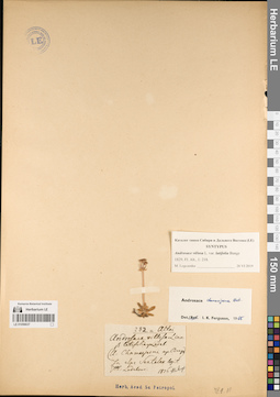 LE 01056637