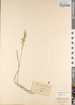 LE 01184168