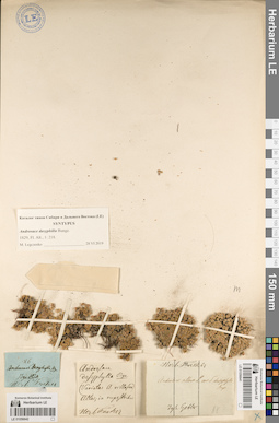 LE 01056641