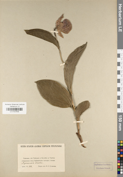LE 01027639