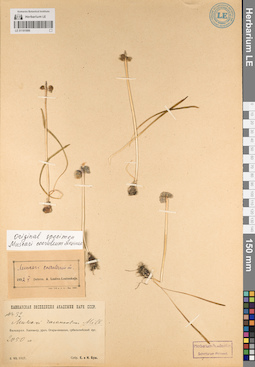 LE 01181886
