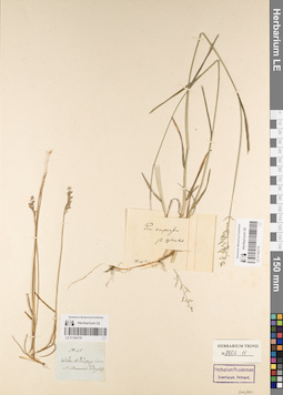 LE 01184179
