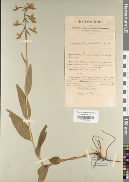 LE 01030383