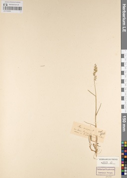 LE 01184182