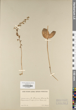 LE 01030637