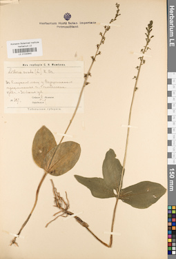 LE 01030640