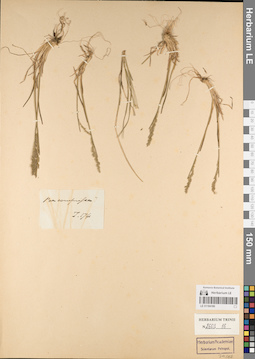 LE 01184186