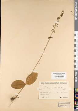 LE 01030642