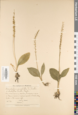 LE 01031214