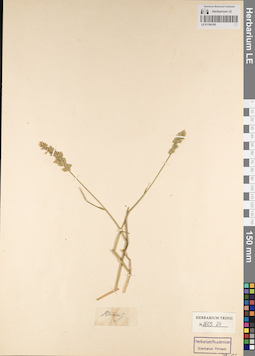 LE 01184195
