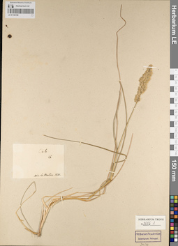 LE 01184198
