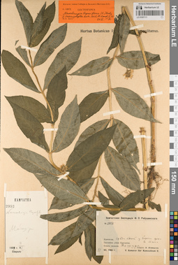 LE 01057111