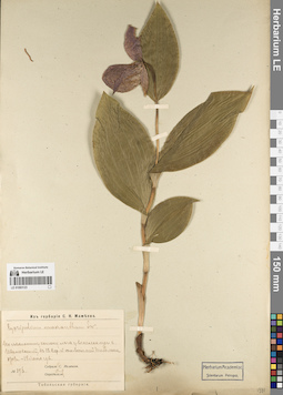 LE 01083123