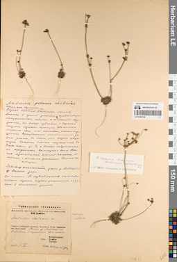 LE 01083188
