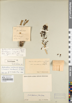 LE 01189912