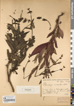 LE 01083194