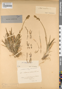 LE 01189918