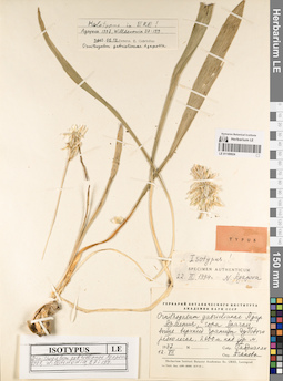 LE 01189924