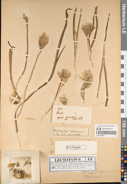 LE 01189931