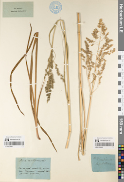 LE 01072968