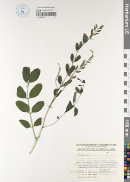 LE 01220074
