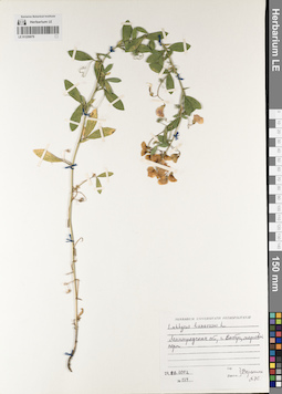 LE 01220079