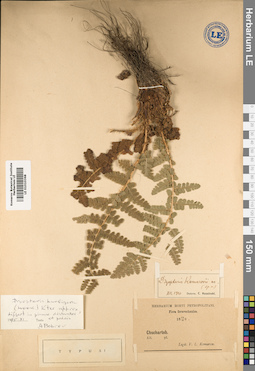 LE 01010368