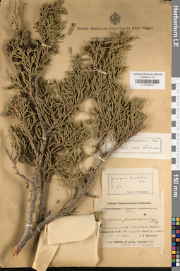 LE 01025945