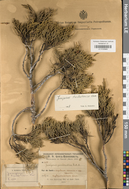 LE 01025963