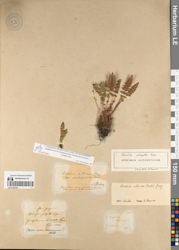 LE 01195161