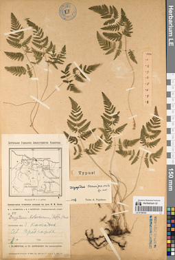 LE 01195163