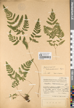 LE 01195168