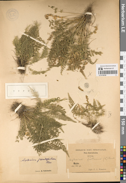 LE 01195169