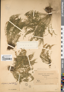 LE 01195170