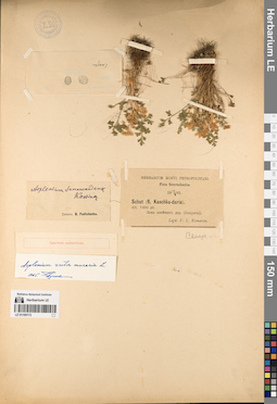 LE 01195172