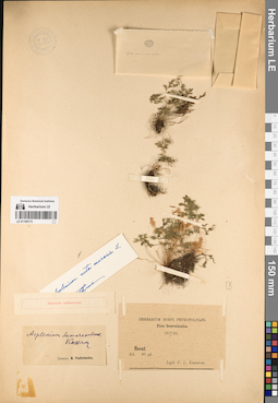 LE 01195173