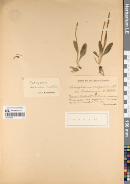 LE 01195178