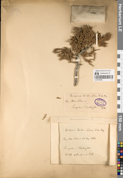 LE 01195192