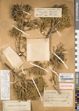 LE 01195210