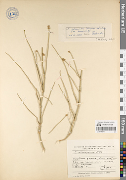 LE 01195315