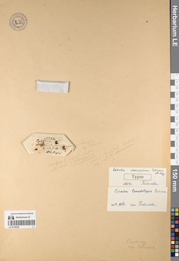 LE 01195325