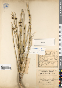 LE 01195330