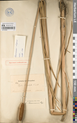 LE 01195348