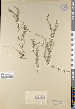 LE 01195358