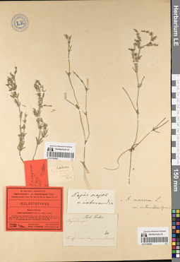 LE 01195361