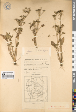 LE 01195366