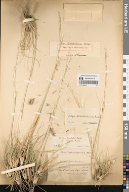 LE 01195415
